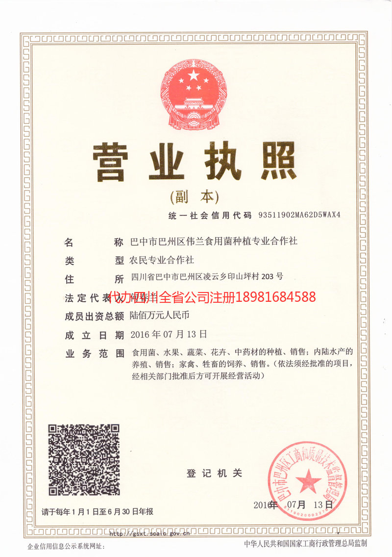 运城运城伟兰食用菌种植专业合作社